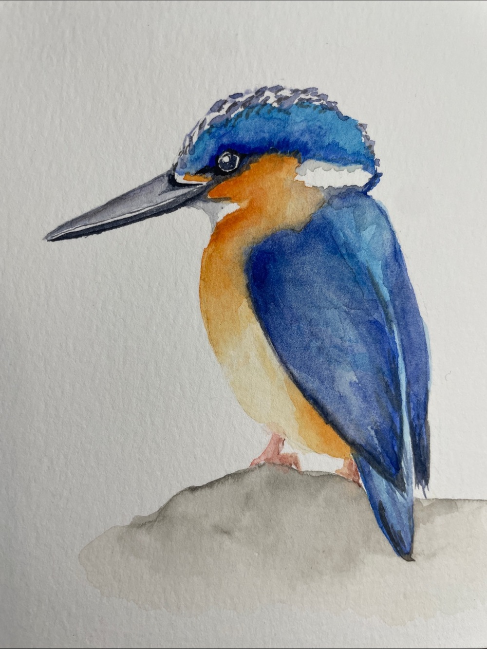 Original watercolor bird painting